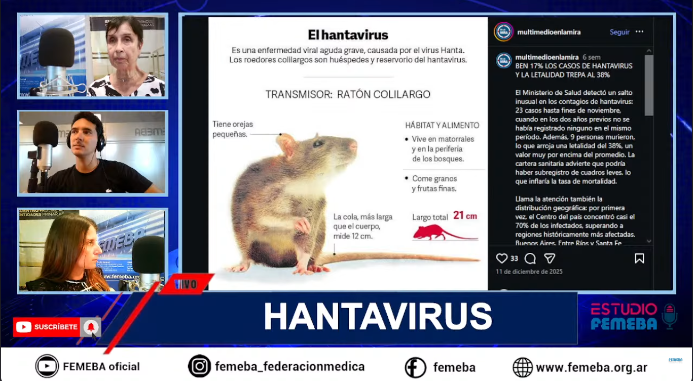 Hantavirus: recomendaciones de la doctora Silvia González Ayala.